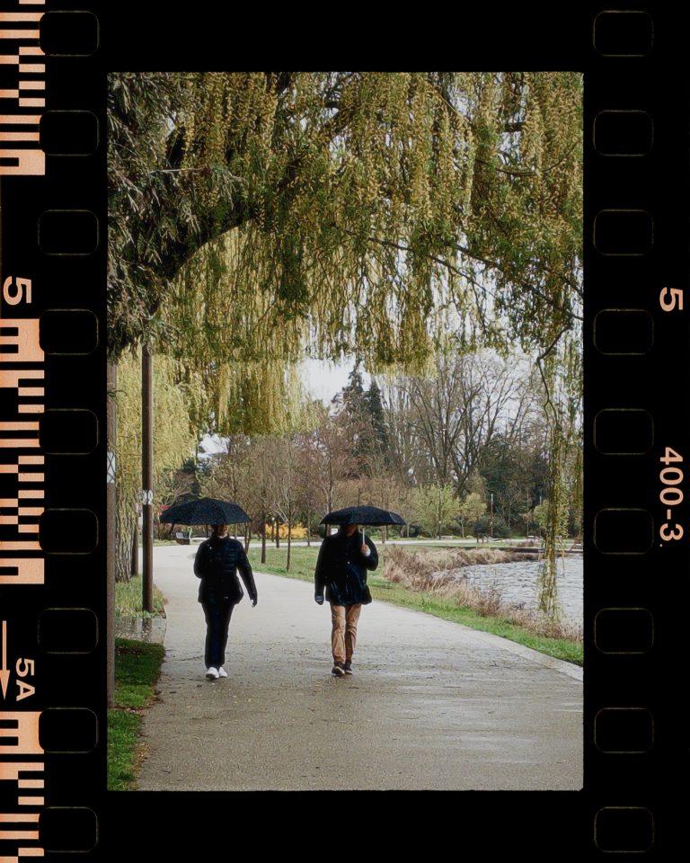 Un iPhone iconique : ce que j&rsquo;aurais dit à Tim Cook