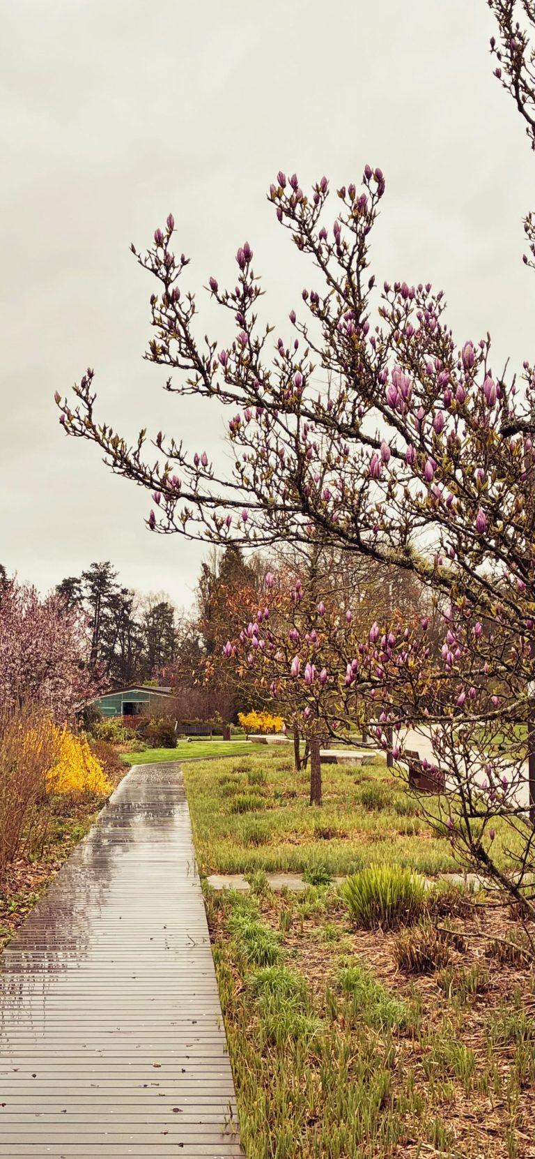 Les lignes directrices en photographie